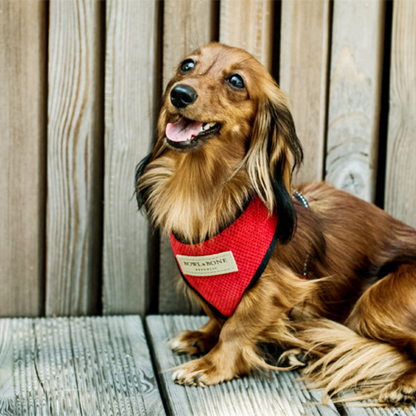 Bowl&amp;Bone Dog Harness Candy Red