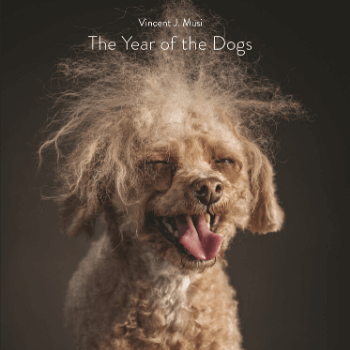 The Year Of the Dogs by Vincent J. Musi