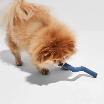 Wild One Bolt Dog Toy Navy