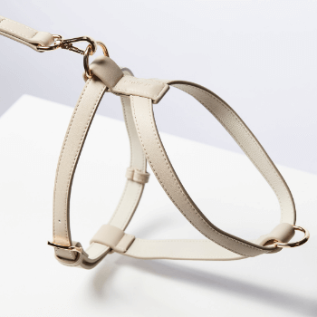 St Argo Taupe Dog Harness