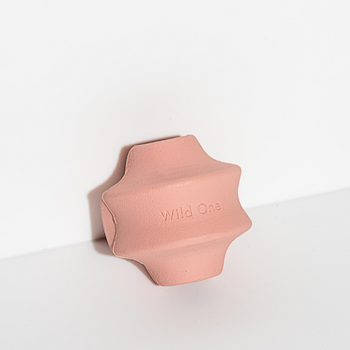 Wild One Dog Twist Toy