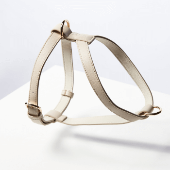 St Argo Taupe Dog Harness