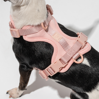 Wild One Dog Harness