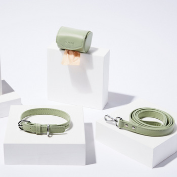 St Argo Collar Walking Set