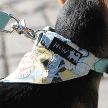 New York! New York!  Dog Bandana by Hiro + Wolf