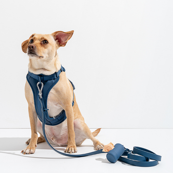 Wild One Dog Harness