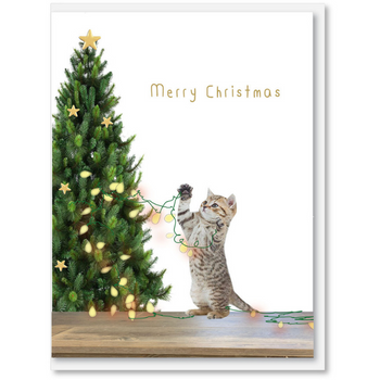 i Candy Cat with Tree Christmas Card