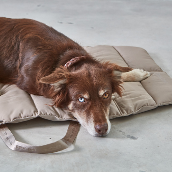 MiaCara Strada Travel Dog Bed