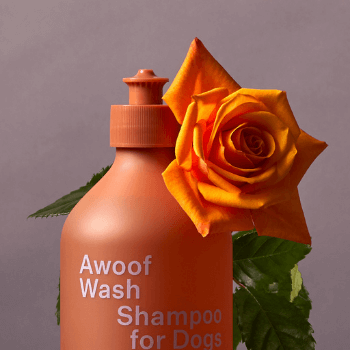 Awoof Wash Shampoo for Dogs Ashley &amp; Co