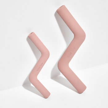 Wild One Bolt Dog Toy