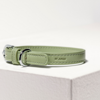 St Argo Sage Vegan Dog Collar