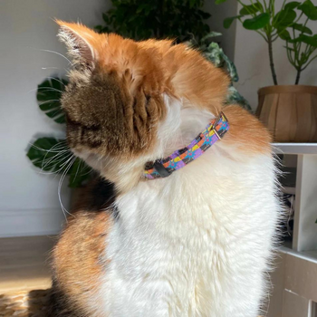 Hiro + Wolf Breakaway Cat Collar