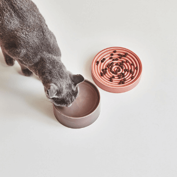 MiaCara Piatto &amp; Fresco Cat Bowl Berry