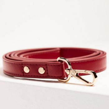 St Argo Red Dog Lead