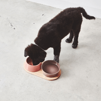 MiaCara Doppio Dog Bowl Set - Berry