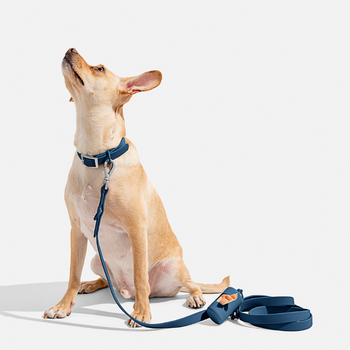 Wild One Navy Dog Lead