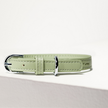 St Argo Sage Vegan Dog Collar