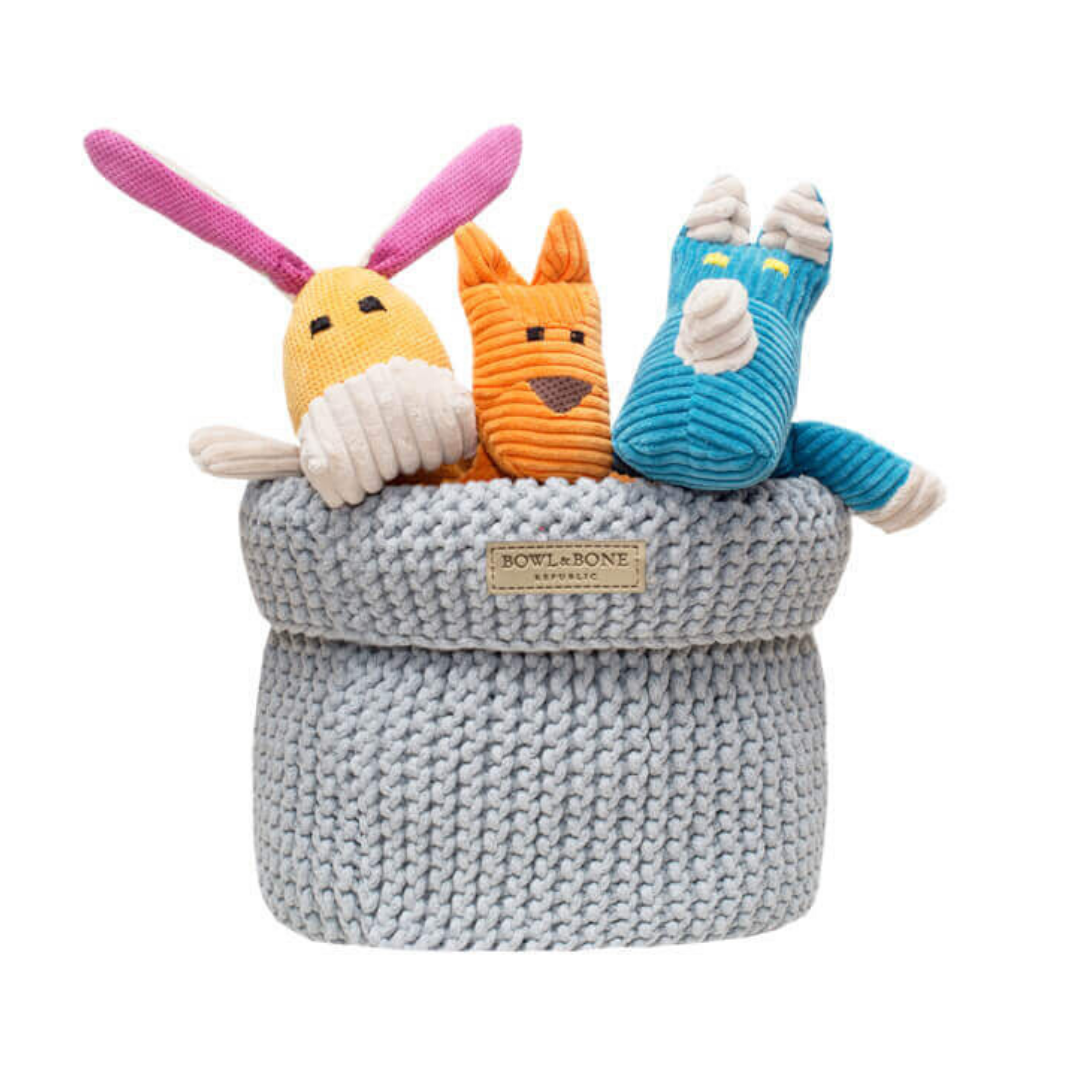 Bowl &amp; Bone Republic Dog Toy Basket