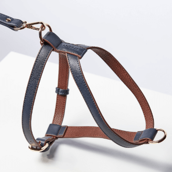 St Argo Dog Harness Navy