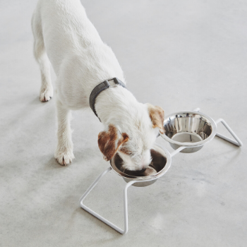 MiaCara Cena Dog Feeder Concrete available at The Good Pet Home