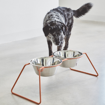 MiaCara Cena Dog Feeder Dusty Coral availabe at The Good Pet Home