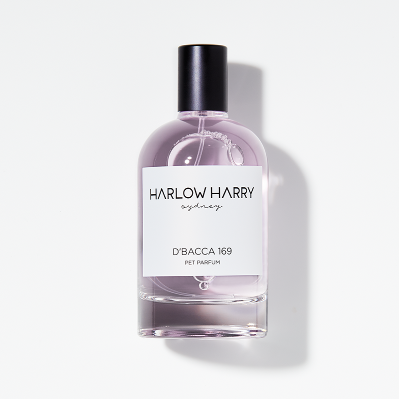 Harlow Harry Pet Parfum D&
