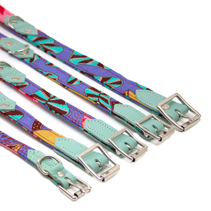 Hiro + Wolf Kaleidoscope Dog Collar