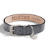 MiaCara Torino Dog Collar Belt