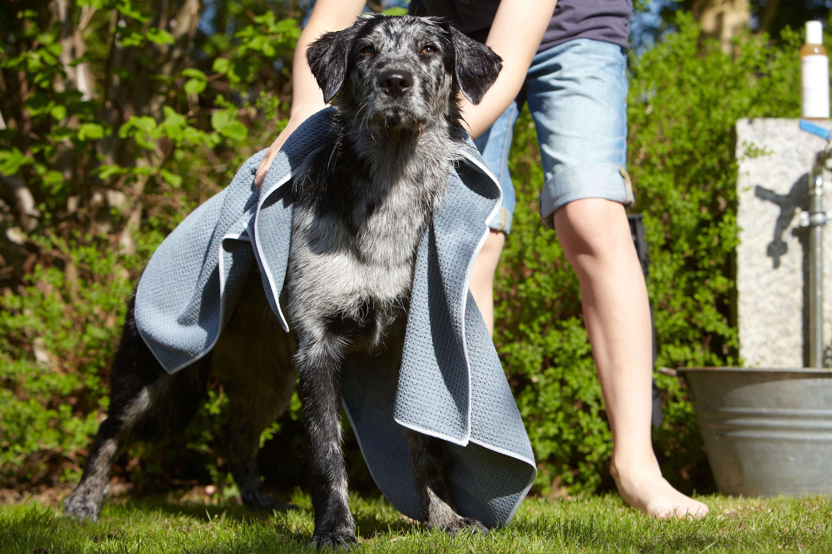 MiaCara Panno Dog Towel