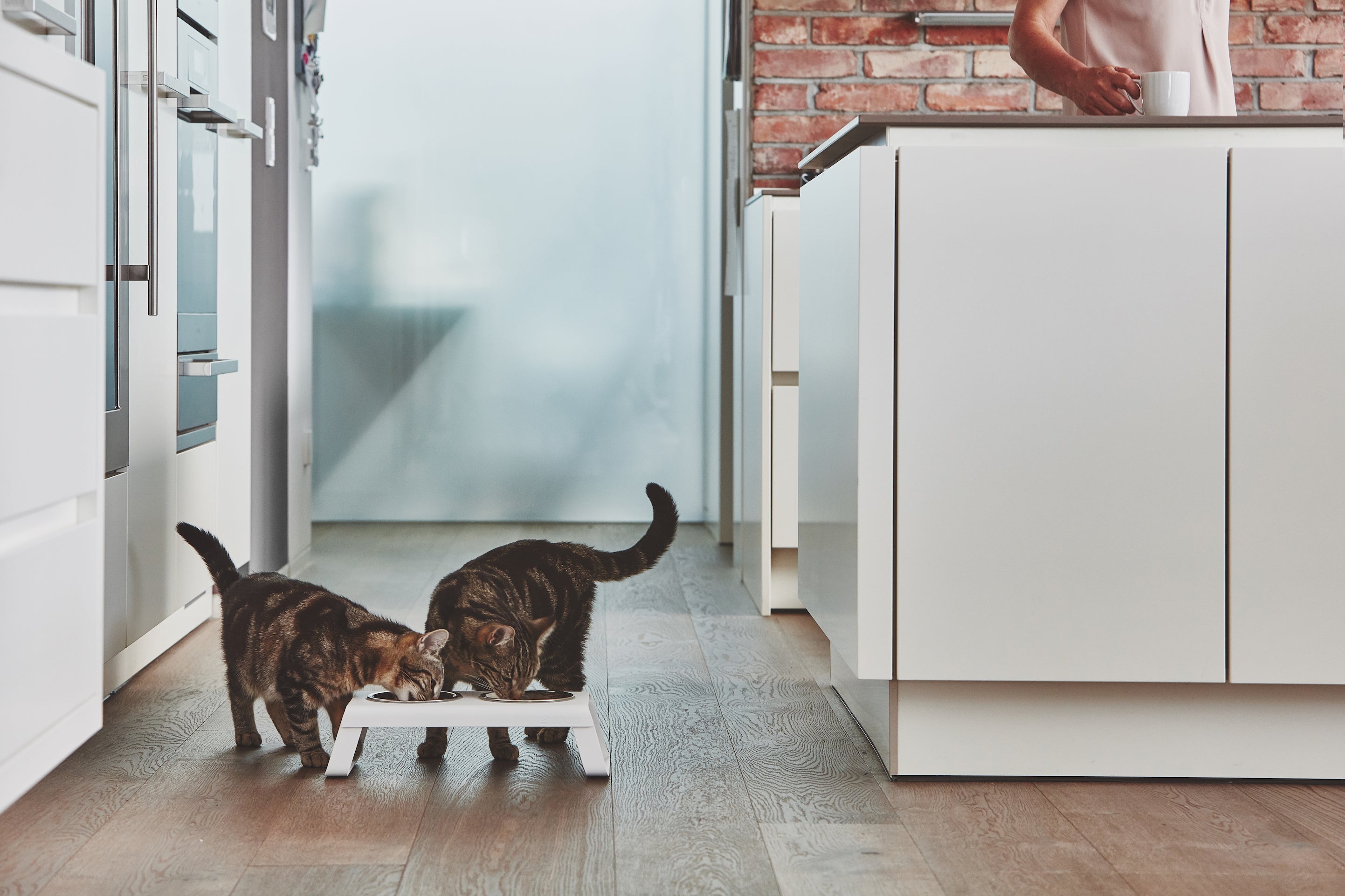 MiaCara Desco Cat Feeder White