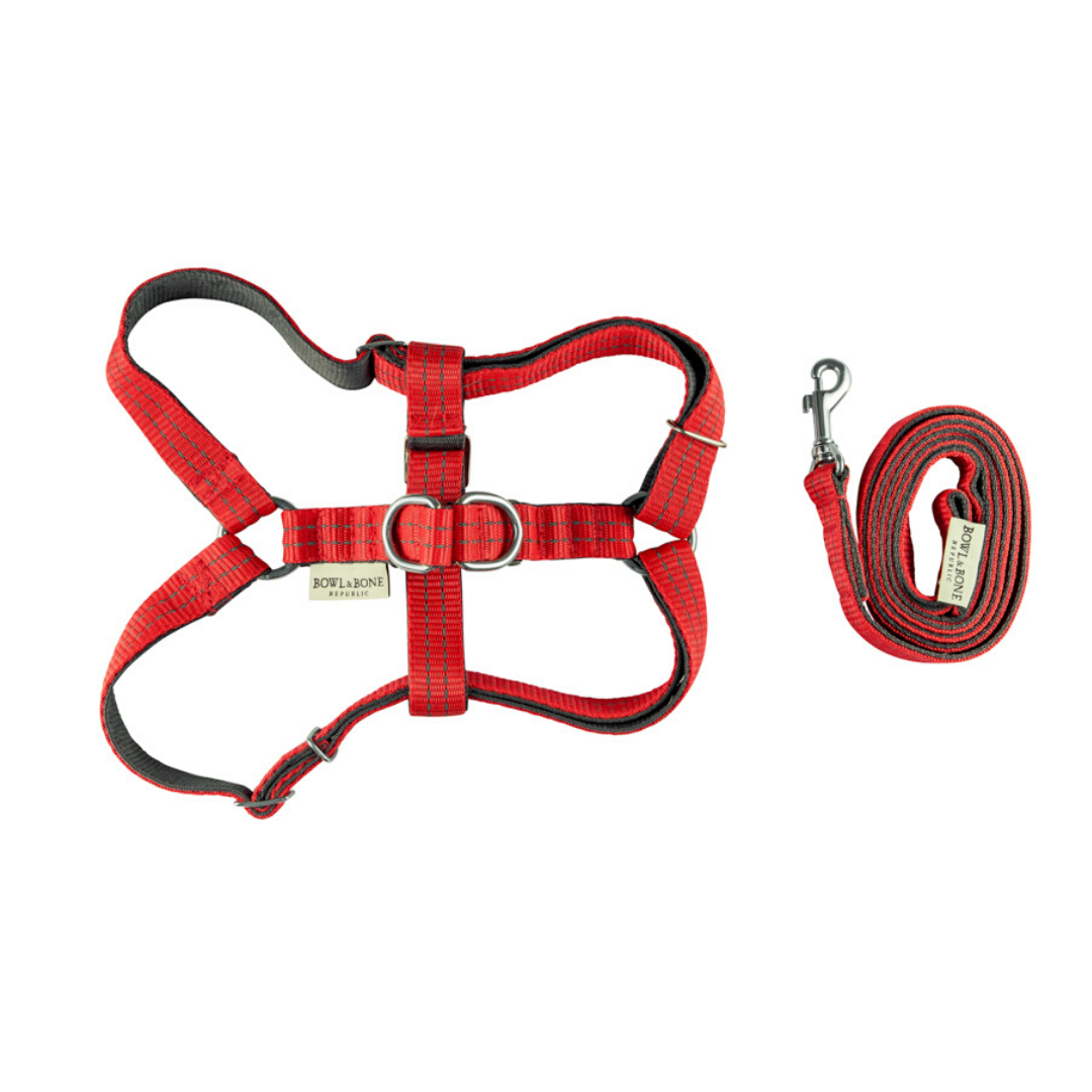 Bowl&amp;Bone Dog Harness Active &amp; Lead Red